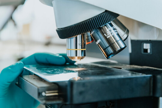 Close-up of woman hand placing human brain microscope slide under microscope at laboratory