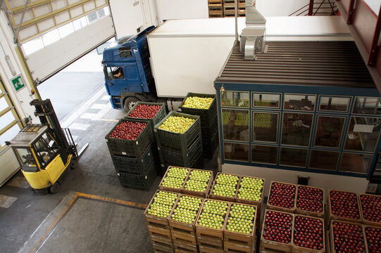 High angle view of apples in warehouse with forklift and truck