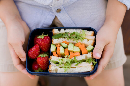 Boy holding lunch box with sandwiches and strawberries
