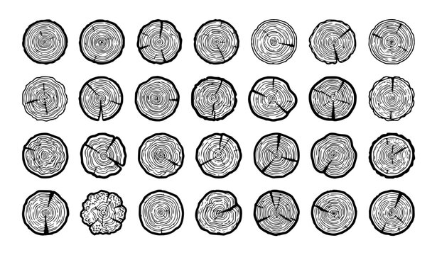 Abstract Wooden Trunk Rings and Log Slice Contour Pattern Vector Collection