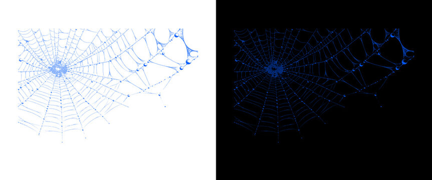 Spooky spiderweb design elements, blue cobweb graphics on white and black backgrounds, Halloween decorative spider web patterns