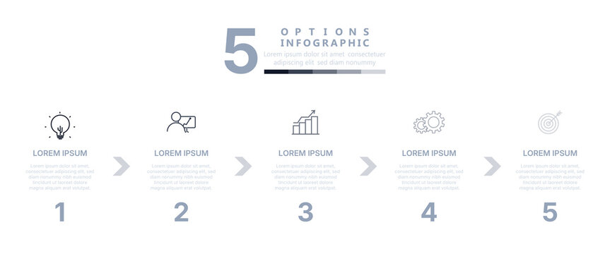 Minimal Five Options Process Infographic Template