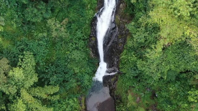 This waterfalls plunge through tropical rainforest, where clear mountain water flows into a shaded natural pool. Gitgit Falls, North Bali, Indonesia.
