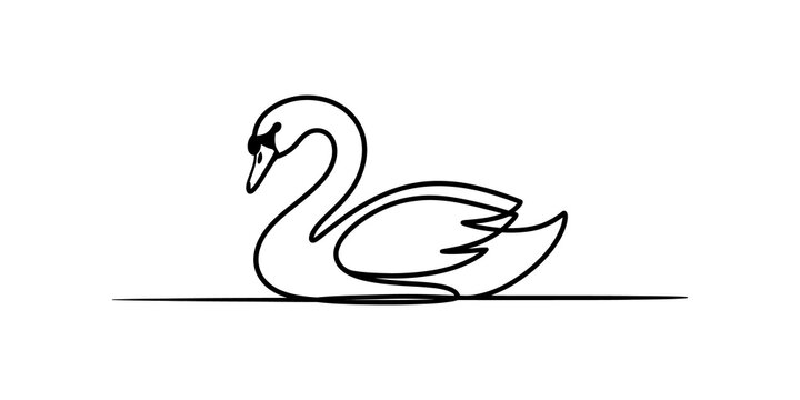Minimalist continuous line drawing of a swan, elegant single line art of a swimming bird, modern black and white swan vector illustration