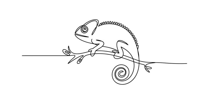 Continuous line art of a chameleon on a branch, minimalist single line lizard drawing, modern black and white animal illustration