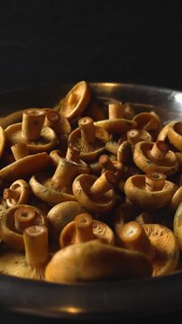 Freshly picked orange milkcap mushrooms, also known as Lactarius deliciosus, rotating slowly in a metal bowl against a dark studio background, showcasing the raw and natural food