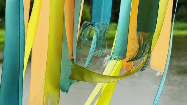 Colorful ribbon decorations frayed against a natural backdrop. Festive streamers torn and weathered outdoors near greenery. Close-up scene of worn celebration decor in nature..