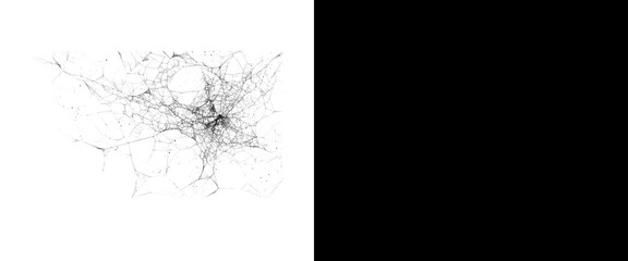 Fototapeta premium Microscopic neuron cell network on white background, biological brain nerve structure, medical science illustration of neural pathways