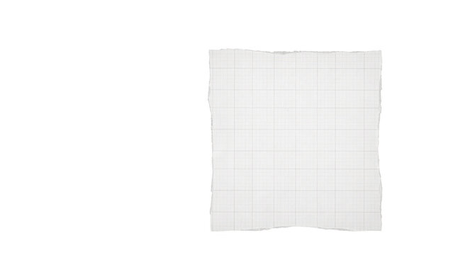 Torn piece of graph paper isolated on transparent background