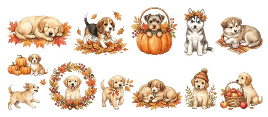 Obraz premium Cute autumn puppy clipart set with seasonal mood 3. Collection of Vector illustrations for invitation, card, poster, banner, decoration