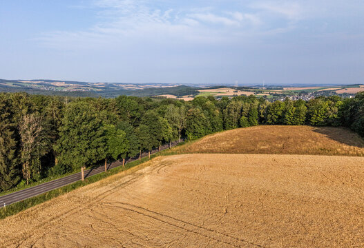 Aerial View of Golden Harvest Field Bordering a Dense Forest in the Rolling Rural Countryside