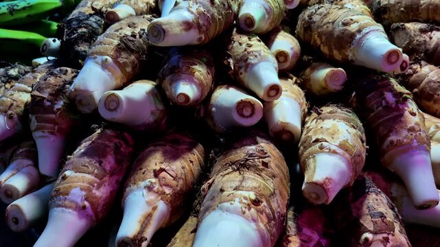 A pile of freshly harvested taro roots showcases earthy textures and crisp white stems. Fresh seasonal produce creates an authentic market display at the local market.