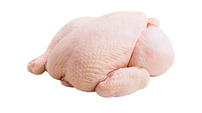 Whole raw chicken poultry meat with skin