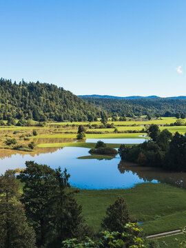 Seasonal Flooded Meadows at Planina Cerknica Slovenia