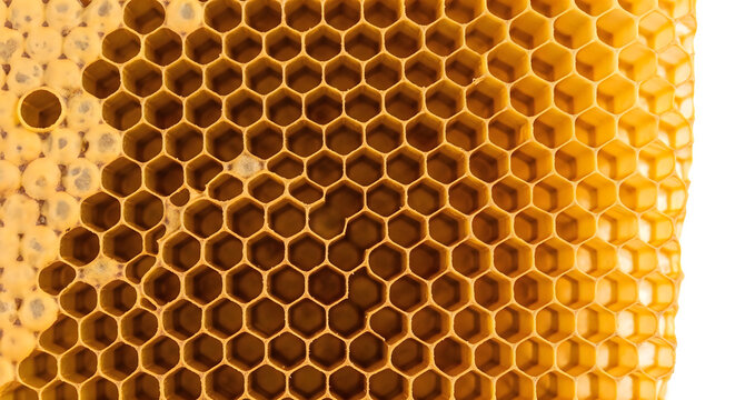 Golden beeswax honeycomb texture macro background showing hexagonal cell pattern.