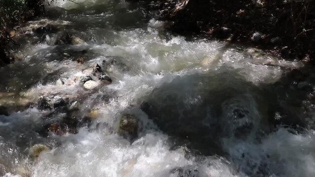Video of the raging Sairam Su mountain river in Kazakhstan. Powerful fast-flowing stream with splashing white water rushing past rocks in scenic wild nature.