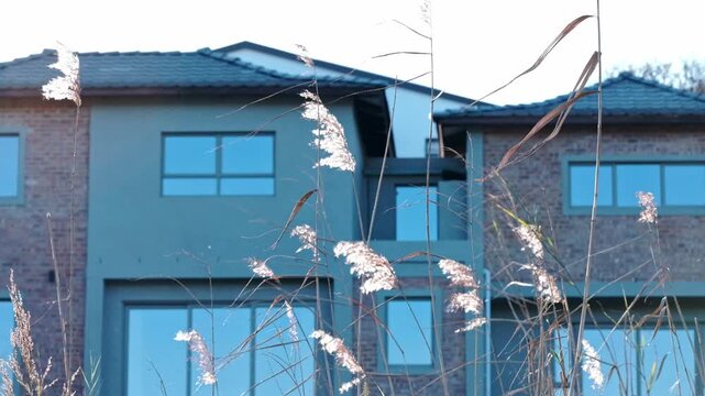 A architectural modern house with Japanese tiled roof, large reflective glazing, exposed brick and plaster work with pampas reeds in the foreground by a river