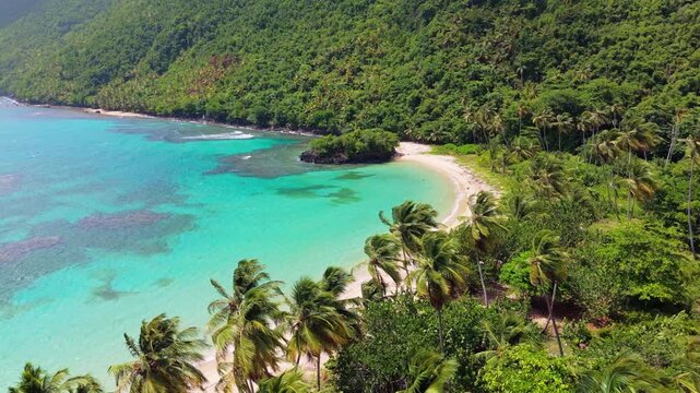 Palm canopy frames turquoise coastline curving toward secluded cove at Ermitanos Beach El Limon Samana Dominican Republic, dense jungle hillside rising above clear water. Aerial drone wide shot
