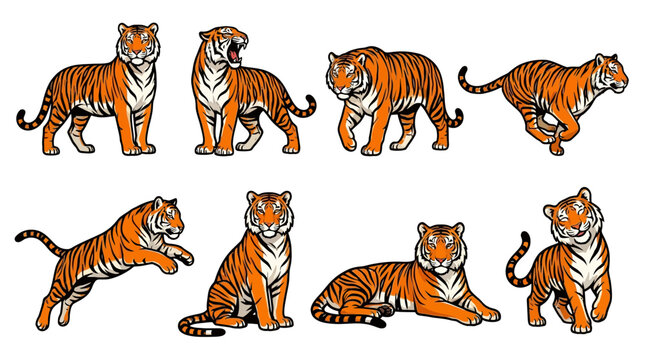 A collection of various tiger poses in a stylized cartoon illustration style isolated on white background.