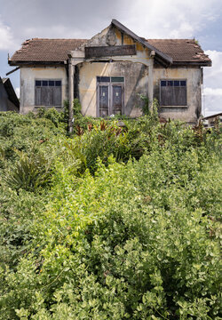 An abandoned historic building of the Tasanadhamma Wittaya School sits derelict in the Tha Chalom subdistrict of Mueang Samut Sakhon District, Samut Sakhon.The structure is being slowly consumed