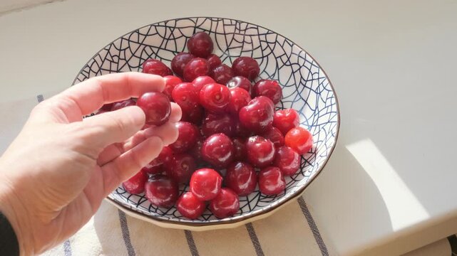 person's hand picks ripe red cherry from patterned bowl. fresh summer seasonal berries represent healthy nutrition and natural diet.