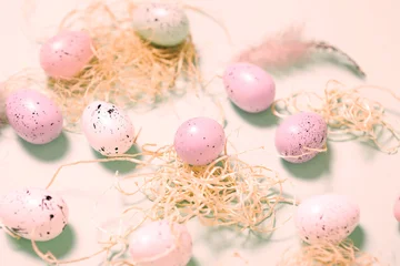 easter eggs and flowers. Easter concept. Flowers. Education. Decoration. Eggs © Erika