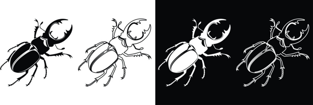 Stag beetle insect vector collection featuring large pincers silhouette and line art outline variants on contrast backgrounds