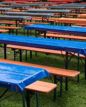 Rows of tables with blue covers set up on grass for an outdoor event in a park during daytime