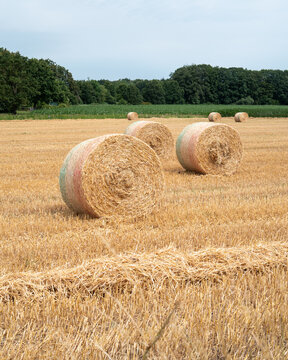 Bales of hay placed in a field with trees and a distant green area under a cloudy sky
