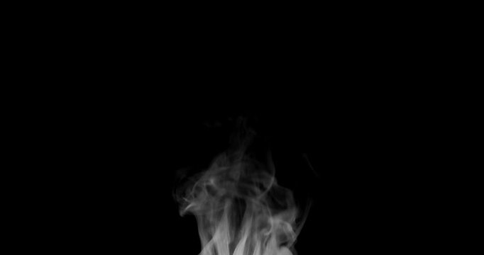 Real white smoke and steam rising on isolated black background. Smooth vapor curls flowing upward in slow motion. Abstract food texture or mist overlay effect for creative video design.