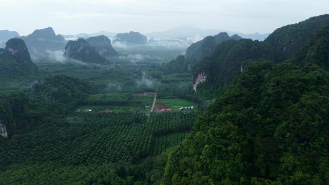 Aerial view of majestic limestone mountains surrounded by lush green tropical forest and morning mist in Krabi, Thailand.