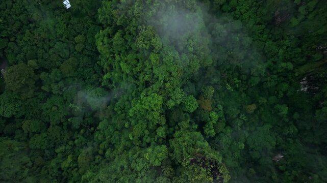 Aerial view of majestic limestone mountains surrounded by lush green tropical forest and morning mist in Krabi, Thailand.