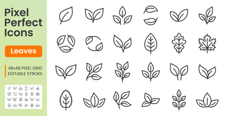 Obraz premium Leaves line icon set. Maple, oak leaf, eco symbol, vegetarian pictogram, organic food, green environment linear minimal vector illustration. Simple outline signs. 48x48 Pixel Perfect. Editable Stroke