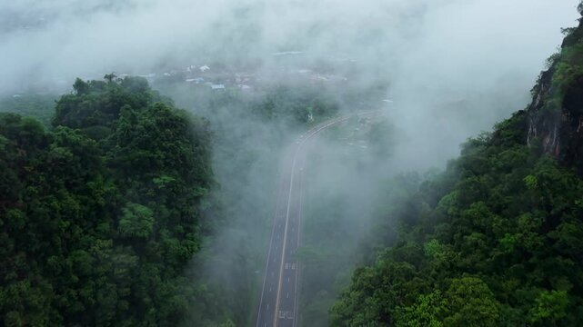 Aerial view of a straight wet road cutting through a tropical palm tree plantation on a rainy day.