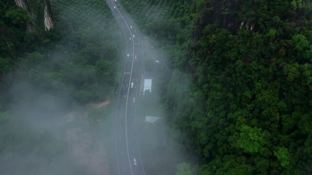 Aerial view of a straight wet road cutting through a tropical palm tree plantation on a rainy day.