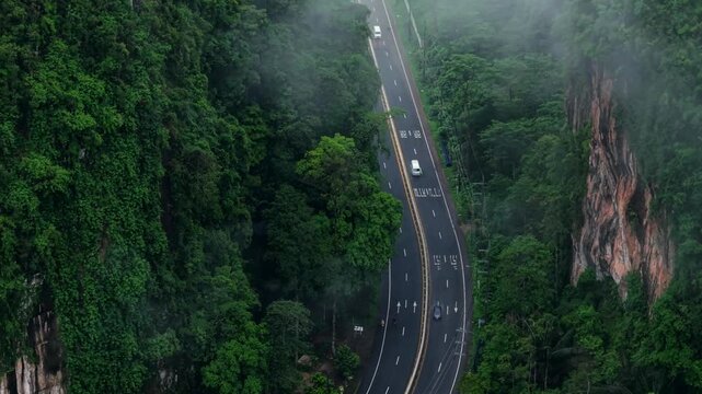 Aerial view of a straight wet road cutting through a tropical palm tree plantation on a rainy day.