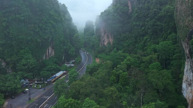 Aerial view of a straight wet road cutting through a tropical palm tree plantation on a rainy day.