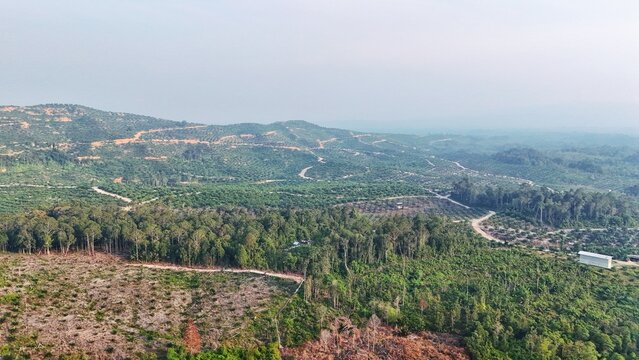 Aerial view of a landscape featuring palm oil plantations and deforested areas in rural Malaysia.