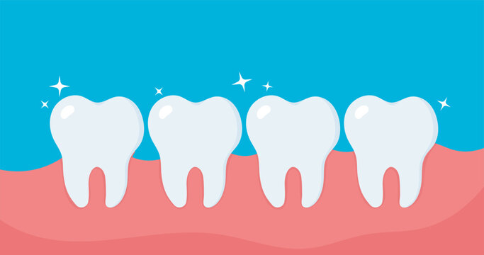 A bright flat illustration showing four clean white teeth lined up on a pink gum with a blue background.