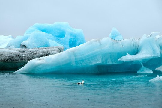 Melting icebergs in Arctic ocean. Melting glaciers and climate change effects.