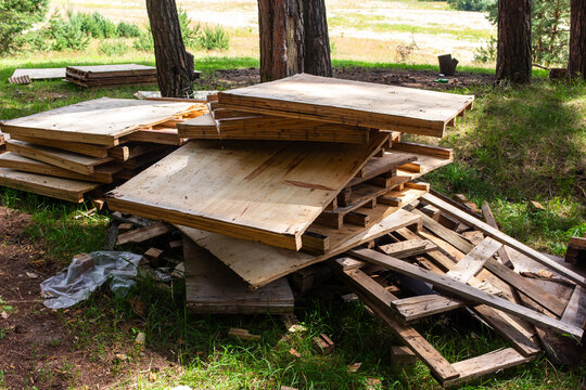 Stacked weathered wooden plywood boards and broken shipping pallets lying on grass in a sunlit pine forest, representing construction waste, material disposal and outdoor site preparation cleanup