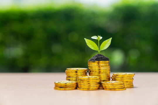 Growing plant on stack of gold coins with green background.