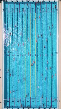 Aerial Top Down View of Swimmers Training in an Outdoor Swimming Pool