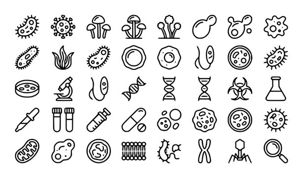 Microorganisms Outline Icons Set with Bacteria Virus Fungi Protozoa Laboratory and Microbiology Editable Stroke Vector