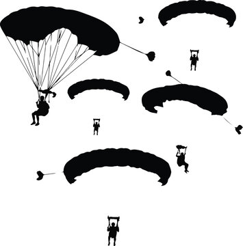 Silhouettes of parachutists descending through the sky during an extreme sports event, illustrating adventure and freedom