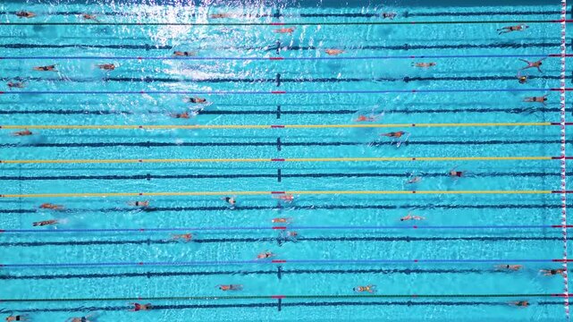 Aerial Top Down View of Swimmers Training in an Outdoor Swimming Pool