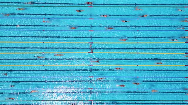 Aerial Top Down View of Swimmers Training in an Outdoor Swimming Pool