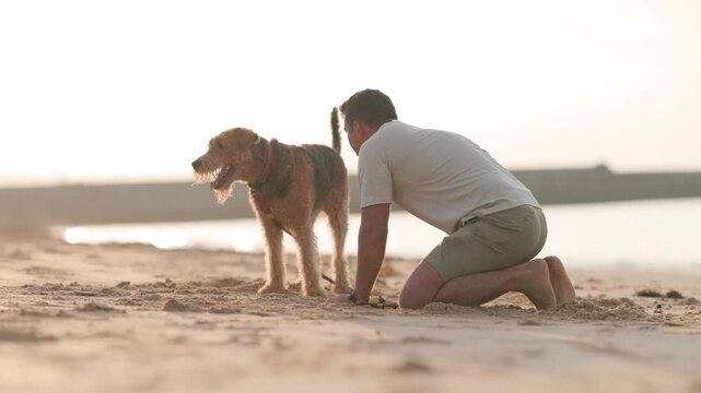 Man and airedale terrier dog playing on sandy beach at sunset