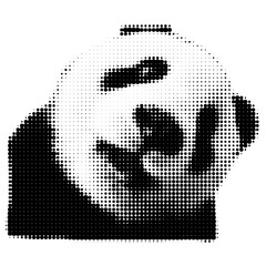 halftone dots png transparent Black and white panda bear portrait with halftone dot effect © Monarul