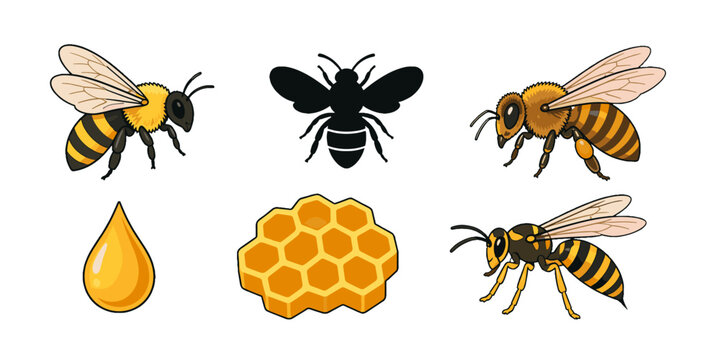 Bee and honey icon set with honeycomb and nectar drop